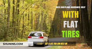 Dailyland Insurance: Does It Cover Flat Tire Emergencies?