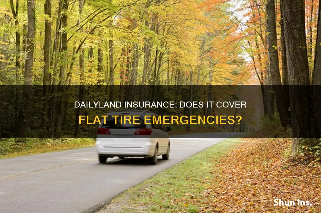 does dailyland insurance help with flat tires