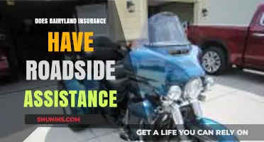 Does Dairyland Insurance Offer Roadside Assistance? A Comprehensive Guide
