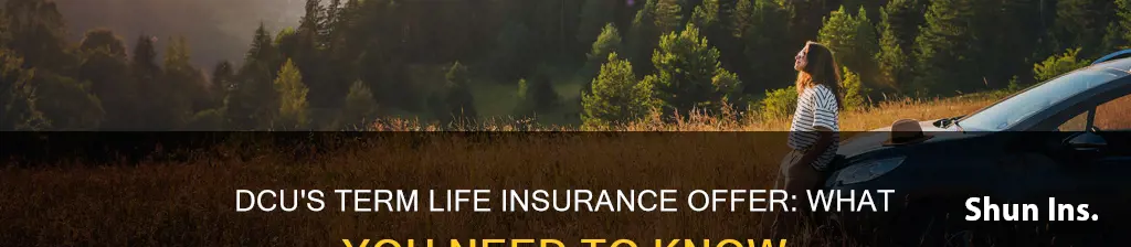 does dcu offer term life insurance