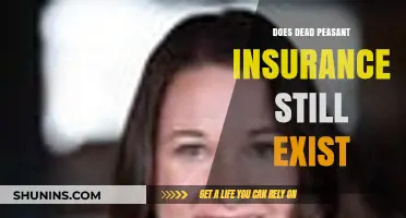 Does Dead Peasant Insurance Still Exist? Uncovering Corporate-Owned Policies