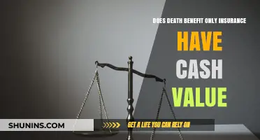 Does Death Benefit Only Insurance Offer Cash Value? Explained