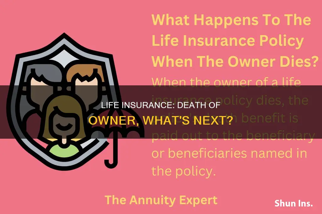 does death of owner of life insurance