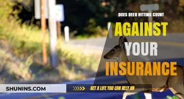 Does Deer Collision Impact Your Insurance Premiums? Find Out Now