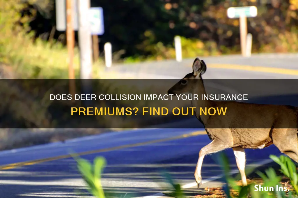 does deer hitting count against your insurance