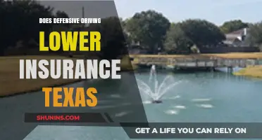Defensive Driving in Texas: Can It Reduce Your Insurance Premiums?