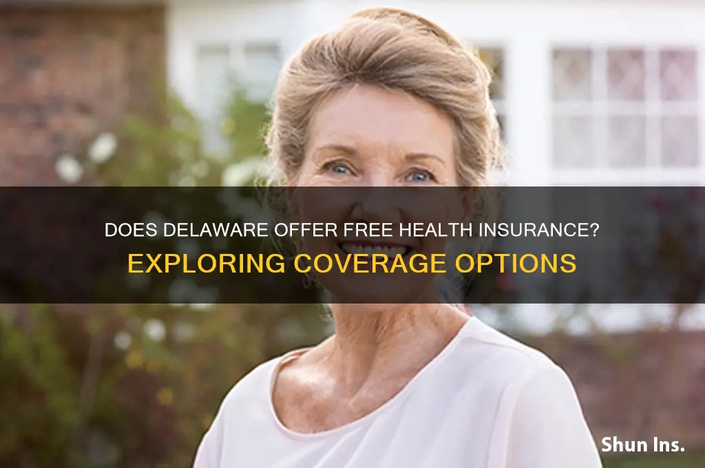 does delaware have free health insurance