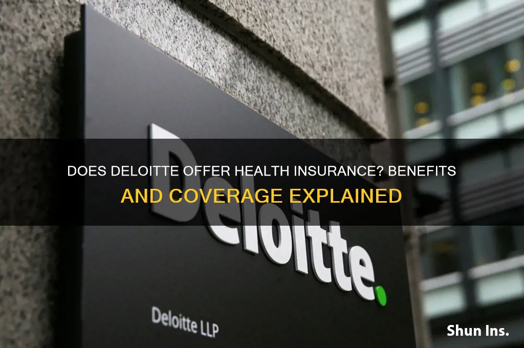 does deloitte provide health insurance