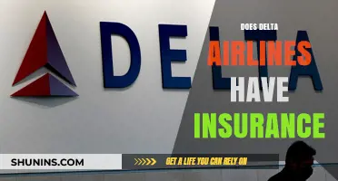 Does Delta Airlines Offer Travel Insurance? What You Need to Know