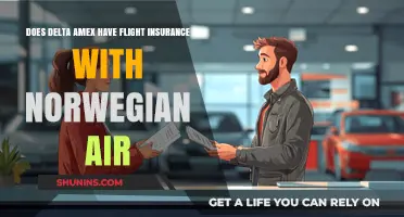 Delta Amex Flight Insurance Coverage for Norwegian Air Passengers Explained