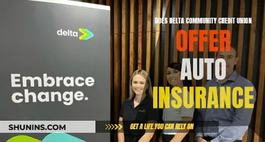 Delta Community Credit Union: Auto Insurance Options and Member Benefits