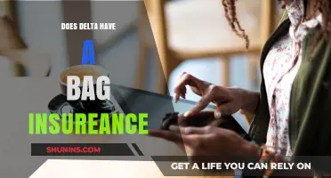 Does Delta Airlines Offer Baggage Insurance? What Travelers Need to Know