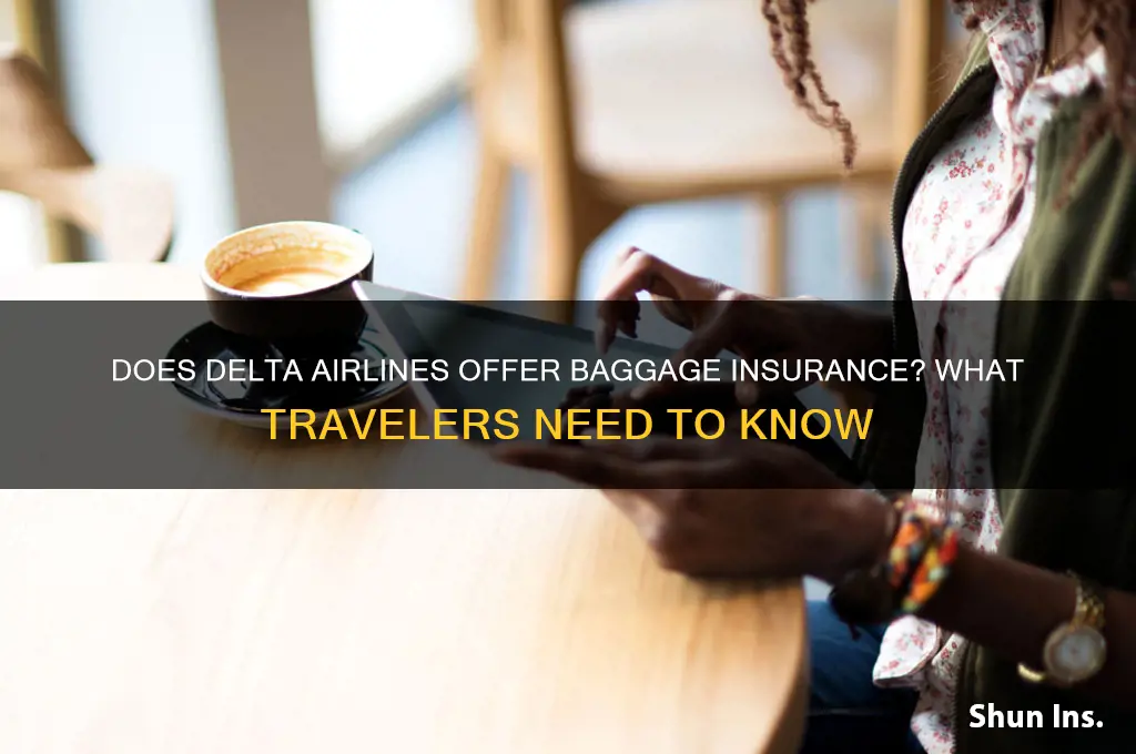 does delta have a bag insureance