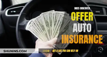 Discover Auto Insurance: What You Need to Know