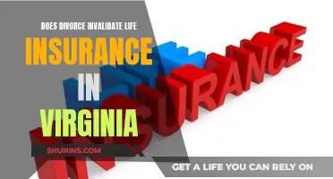 Divorce and Life Insurance: Virginia's Law and Your Policy