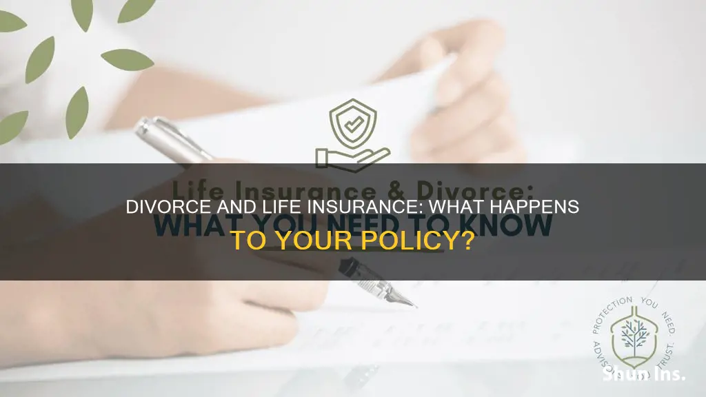 does divorce life insurance lapse