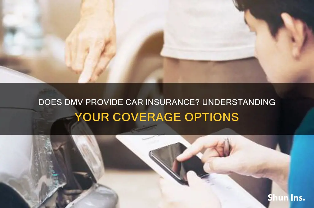 does dmv give insurance