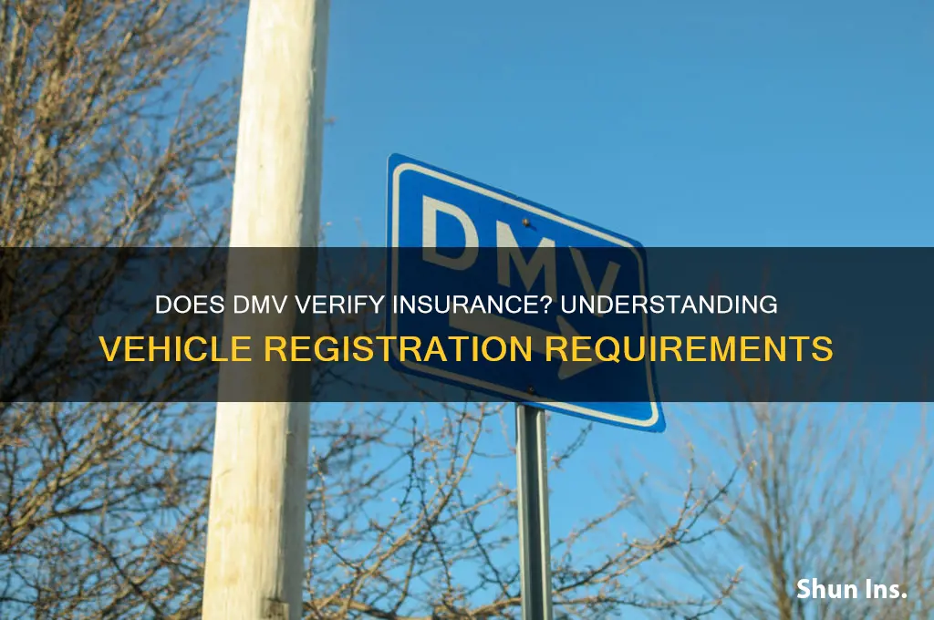 does dmv verify insurance
