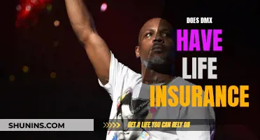 Life Insurance and DMX: A Legacy's Future