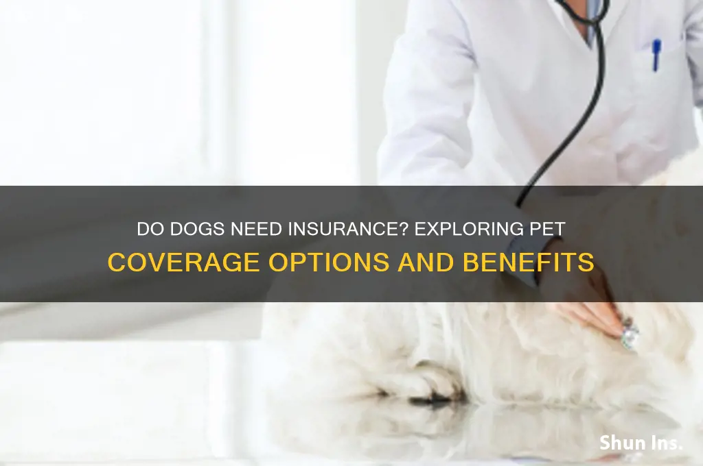 does dog have insurance