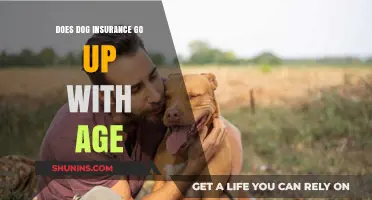 Dog Insurance: Age-Related Premium Increases Explained