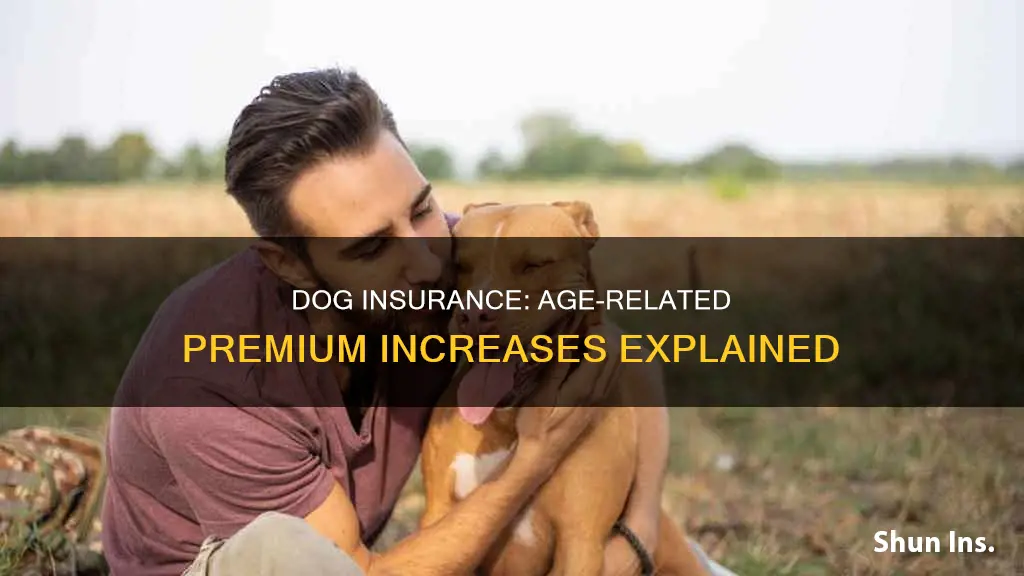 does dog insurance go up with age
