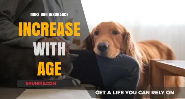 Does Dog Insurance Increase with Age? What Owners Need to Know