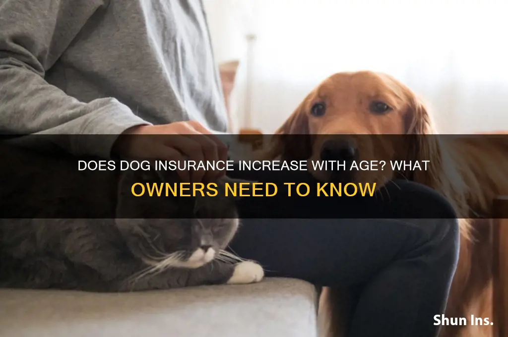 does dog insurance increase with age