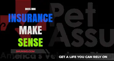 Is Dog Insurance Worth It? Weighing the Pros and Cons