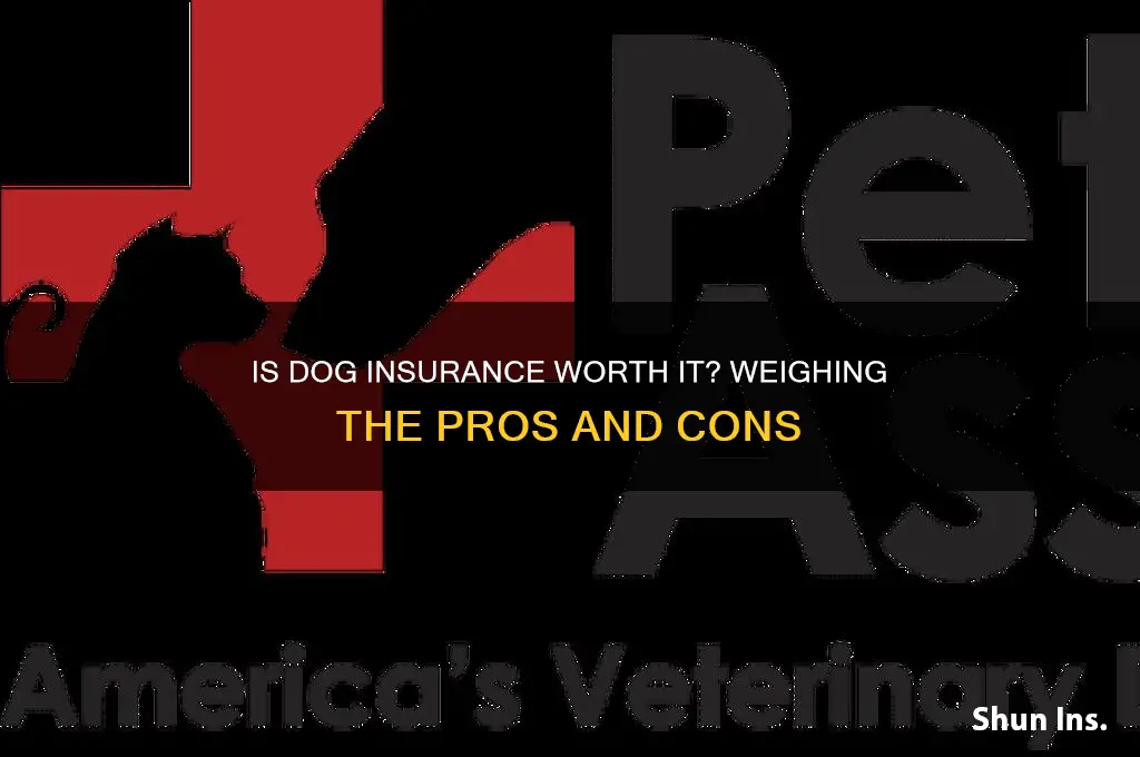 does dog insurance make sense