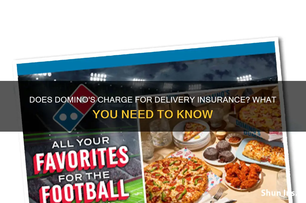 does domino