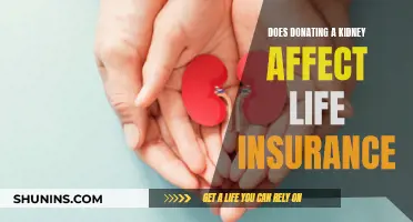 How Donating a Kidney Impacts Life Insurance Policies