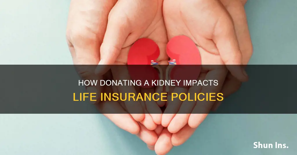 does donating a kidney affect life insurance