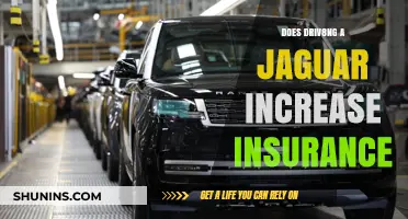 Does Driving a Jaguar Increase Insurance Costs? What You Need to Know