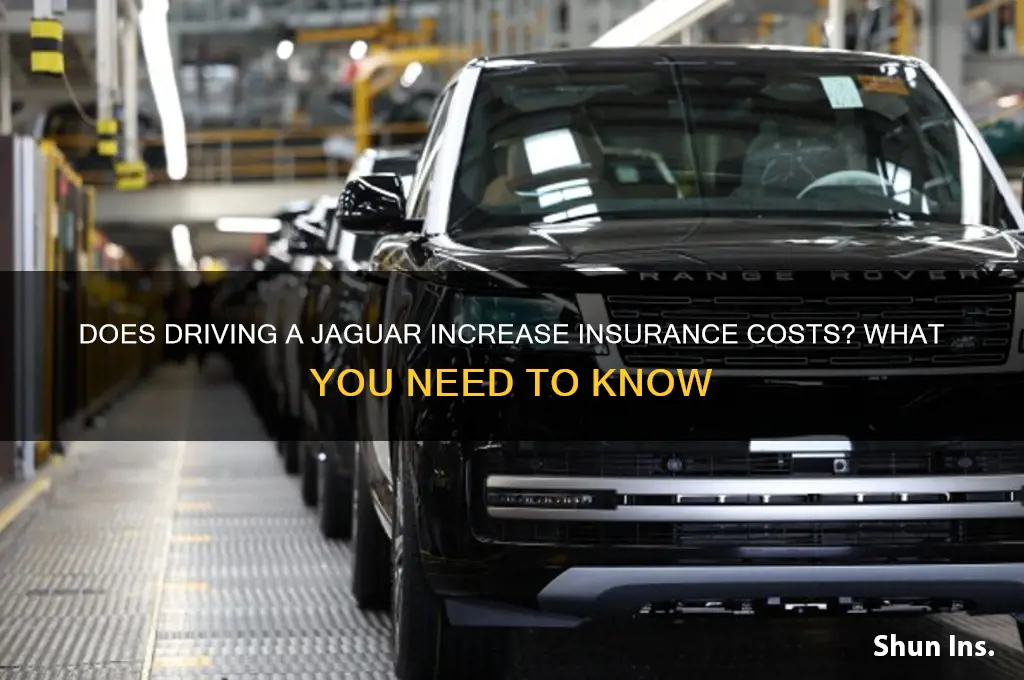 does driv8ng a jaguar increase insurance