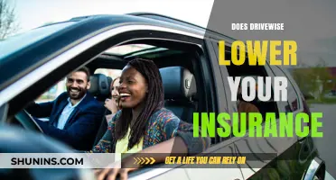 Drivewise and Insurance: Can This Device Reduce Your Premiums?