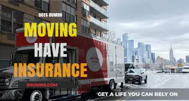 Does Dumbo Moving Offer Insurance Coverage for Your Relocation Needs?