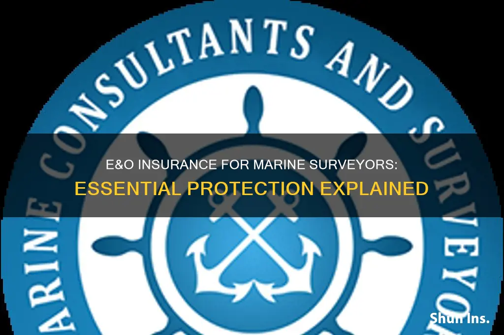 does e&o insurance within the marine surveyor trade