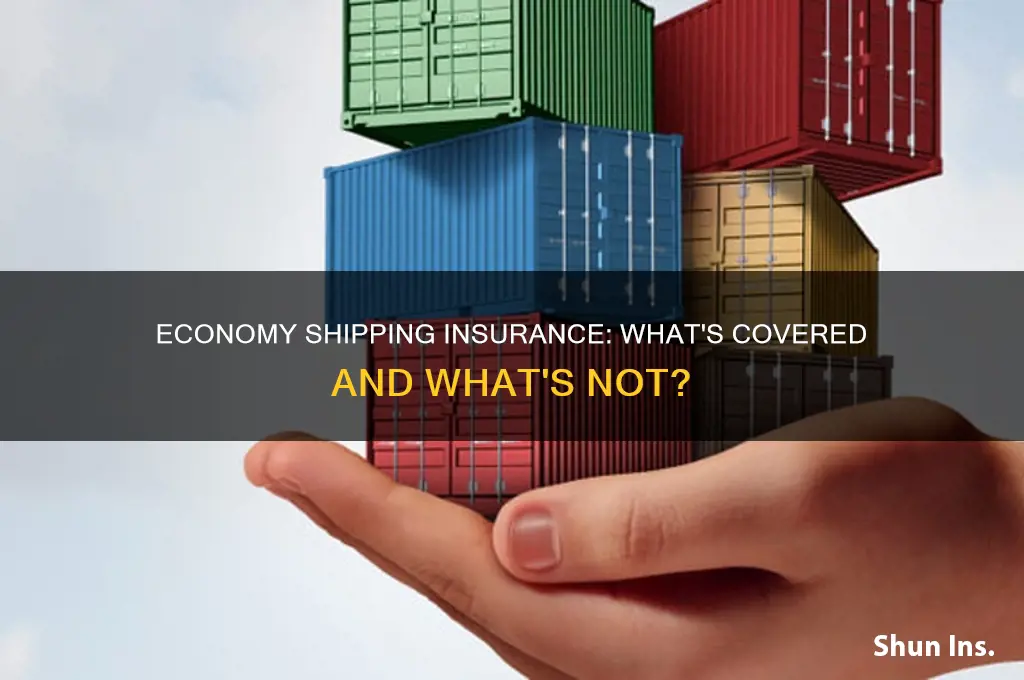 does economy shipping have insurance