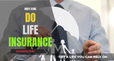 Eerie's Life Insurance: What You Need to Know