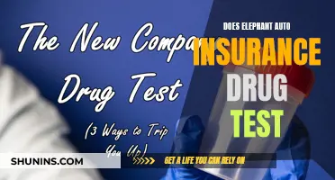 Elephant Auto Insurance: Understanding Their Employee Drug Testing Policies