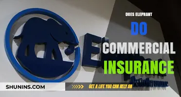 Elephant Insurance: Commercial Coverage for Your Business?