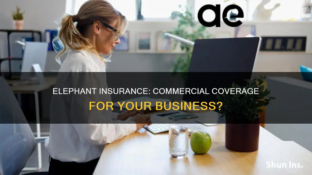 does elephant do commercial insurance