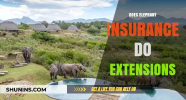 Does Elephant Insurance Offer Extensions? A Comprehensive Policy Review