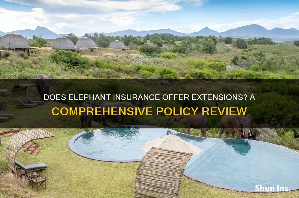 does elephant insurance do extensions