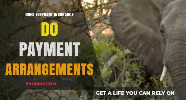 Elephant Insurance Payment Plans: What You Need to Know