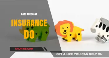 Does Elephant Insurance Deliver? Coverage, Benefits, and Customer Reviews Explained