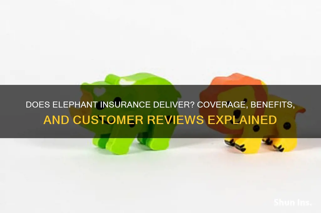 does elephant insurance do