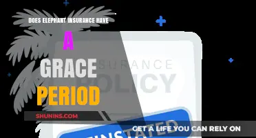 Does Elephant Insurance Offer a Grace Period? What You Need to Know
