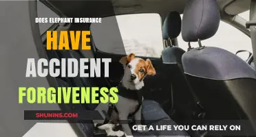 Accident Forgiveness: Does Elephant Insurance Offer This Feature?